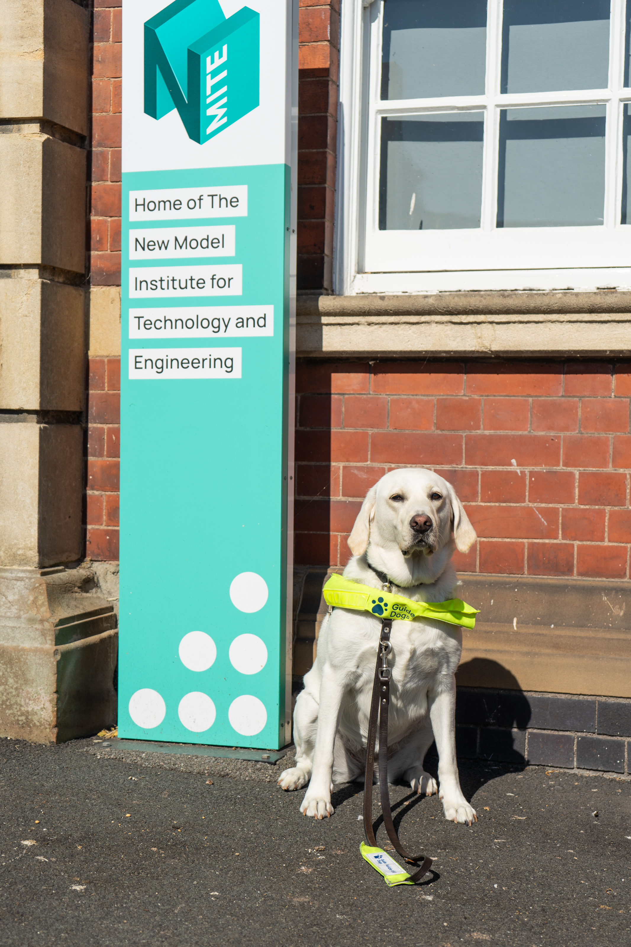Guide dog with NMITE banner