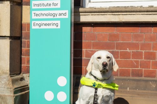 Guide dog with NMITE banner